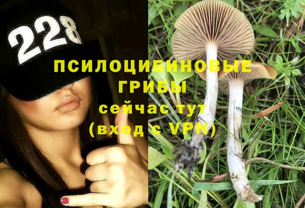 a pvp Алексеевка