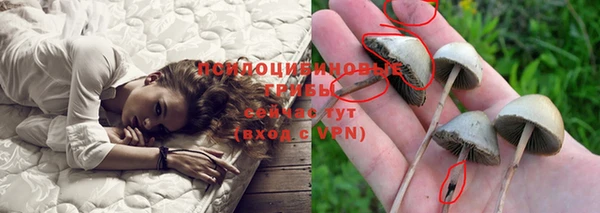 a pvp Алексеевка