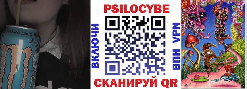 Купить где  Болохово  Галлюциногенные грибы мицелий 